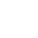 hg-icon